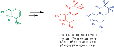 Graphical abstract: Synthesis and glycosidase-inhibitory activity of novel polyhydroxylated quinolizidines derived from d-glycals