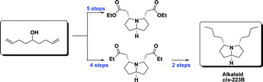 Graphical abstract: Combining two-directional synthesis and tandem reactions: new access to 3,5-disubstituted pyrrolizidines and first total synthesis of alkaloidcis-223B