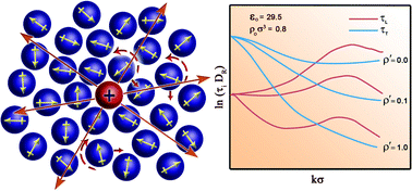 Graphical abstract: Solvation dynamics in dipolar liquids