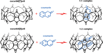 Graphical abstract: Inclusion complexes of coumarin in cucurbiturils