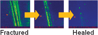 Graphical abstract: Healable polymeric materials: a tutorial review