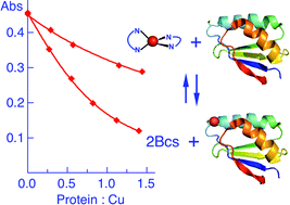 Graphical abstract: The challenges of determining metal–protein affinities