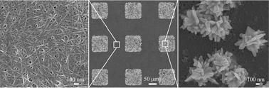 Graphical abstract: Electrochemical patterning of gold nanoparticles on transparent single-walled carbon nanotube films
