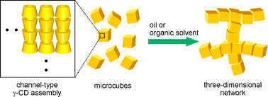 Graphical abstract: Unique organogel formation with a channel-type cyclodextrin assembly