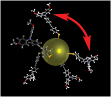 Graphical abstract: Mixed-valence interactions in triarylamine–gold–nanoparticle conjugates