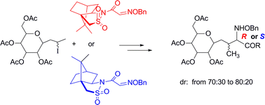 Graphical abstract: Diastereoselective addition of sugar radicals to camphorsultam glyoxilic oxime ether: a route toward C-glycosylthreonine and allothreonine