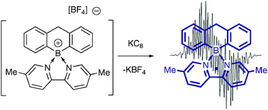 Graphical abstract: Spirocyclic boronium ions: precursors to persistent neutral radicals