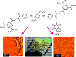 Graphical abstract: Role of complementary H-bonding interaction of a cyanurate in the self-assembly and gelation of melamine linked tri(p-phenyleneethynylene)s