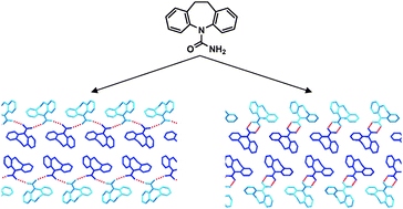 Graphical abstract: A predicted dimer-based polymorph of 10,11-dihydrocarbamazepine (Form IV)