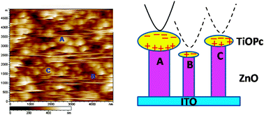 Graphical abstract: Local photoelectric conversion properties of titanyl-phthalocyanine (TiOPc) coated aligned ZnO nanorods