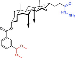 Graphical abstract: Dynamic combinatorial chemistry with hydrazones: cholate-based building blocks and libraries