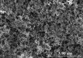 Graphical abstract: A polymer scaffold binder structure for high capacity silicon anode of lithium-ion battery