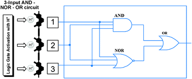 Graphical abstract: Multiport logic operations triggered by protonation—a trisphenanthroline as a 3-input AND–NOR–OR circuit