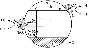 Graphical abstract: Theoretical insight into the electronic, optical and photocatalytic properties of InMO4 (M = V, Nb, Ta) photocatalysts