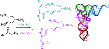 Graphical abstract: Tether influence on the binding properties of tRNALys3 ligands designed by a fragment-based approach