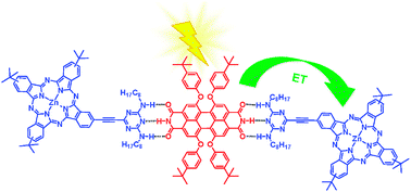 Graphical abstract: Synthesis and photophysical properties of a hydrogen-bonded phthalocyanine–perylenediimide assembly