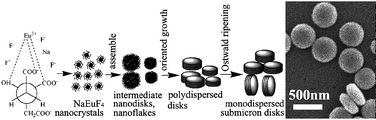 Graphical abstract: Controllable synthesis and formation mechanism of luminescent monodispersed NaEuF4 submicron disks through assembled nanocrystals
