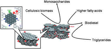 Graphical abstract: Biomass conversion by a solid acid catalyst