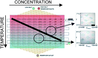 Graphical abstract: Mapping and manipulating temperature–concentration phase diagrams using microfluidics