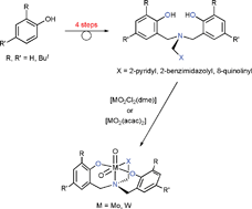 Graphical abstract: New dioxo–molybdenum(vi) and –tungsten(vi) complexes with N-capped tripodal N2O2 tetradentate ligands: Synthesis, structures and catalytic activities towards olefin epoxidation