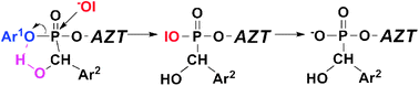 Graphical abstract: Studies on the decomposition pathways of diastereoisomeric mixtures of aryl nucleoside α-hydroxyphosphonates under hydrolytic conditions. Synthesis of α-hydroxyphosphonate monoesters