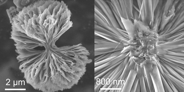 Graphical abstract: A general nonaqueous route to crystalline alkaline earth aluminate nanostructures