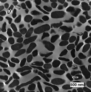 Graphical abstract: Biocidal properties of metal oxidenanoparticles and their halogenadducts