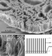 Graphical abstract: Nanostructured aligned CNT platforms enhance the controlled release of a neurotrophic protein from polypyrrole
