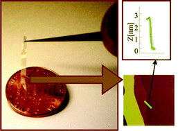 Graphical abstract: Synthesis of nanometre-thick MoO3 sheets