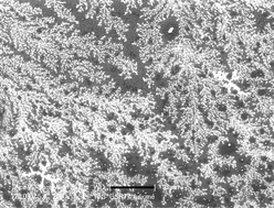 Graphical abstract: Solution phase chemical synthesis of nano aluminium particles stabilized in poly(vinylpyrrolidone) and poly(methylmethacrylate) matrices