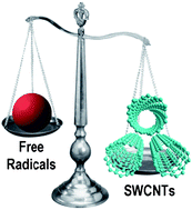 Graphical abstract: Carbon nanotubes: promising agents against free radicals