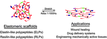 Graphical abstract: Elastomeric polypeptide-based biomaterials
