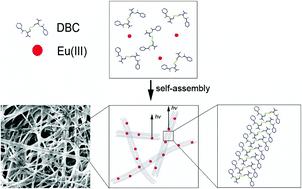 Graphical abstract: Luminescence enhancement of europium(iii) originating from self-assembled supramolecular hydrogels