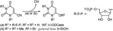 Graphical abstract: Chemical models and their mechanistic implications for the transformation of 6-cyanouridine 5′-monophosphate catalyzed by orotidine 5′-monophosphate decarboxylase
