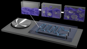 Graphical abstract: Creation of cavitation activity in a microfluidic device through acoustically driven capillary waves