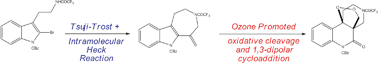 Graphical abstract: Formation and reactions of azepino[4,5-b]indoles: an unprecedented ozone reaction in the formation of novel benzo[c]naphthyridinones