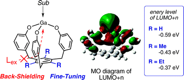 Graphical abstract: Synthesis and theoretical studies of gallium complexes back-shielded by a cage-shaped framework of tris(m-oxybenzyl)arene