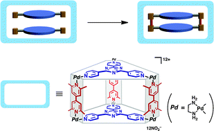Graphical abstract: Self-assembled cage as an endo-template for cyclophane synthesis