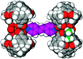 Graphical abstract: Bow-tie metallo-cryptophanes from a carboxylate derived cavitand