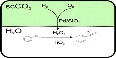Graphical abstract: Nanoparticle catalysed oxidation of sulfides to sulfones by in situ generated H2O2 in supercritical carbon dioxide/water biphasic medium