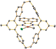 Graphical abstract: Designing late-transition metal catalysts for olefin insertion polymerization and copolymerization