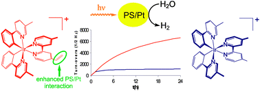 Graphical abstract: Robust photocatalytic water reduction with cyclometalated Ir(iii) 4-vinyl-2,2′-bipyridine complexes