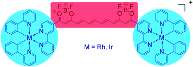 Graphical abstract: Synthesis and linear and nonlinear optical properties of metal-terminated bis(dioxaborine) polymethines