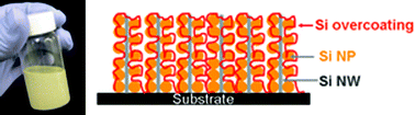Graphical abstract: Si nanoparticle-decorated Si nanowire networks for Li-ion battery anodes