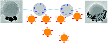 Graphical abstract: PEG-POSS Assisted facile preparation of amphiphilic gold nanoparticles and interface formation of Janus nanoparticles