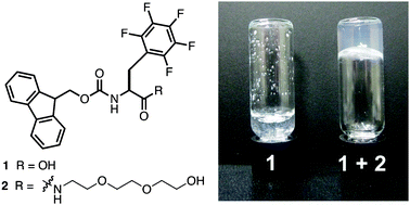 Graphical abstract: Stabilizing self-assembled Fmoc–F5–Phe hydrogels by co-assembly with PEG-functionalized monomers
