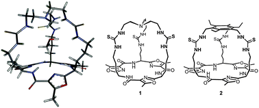 Graphical abstract: Hybrid cyclic peptide–thiourea cryptands for anion recognition