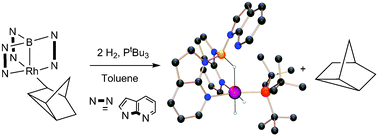 Graphical abstract: Double addition of H2 to transition metal–borane complexes: a ‘hydride shuttle’ process between boron and transition metal centres