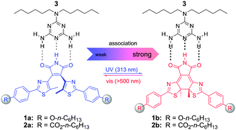 Graphical abstract: Photoswitchable triple hydrogen-bonding motif