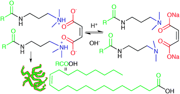 Graphical abstract: pH-switchable wormlike micelles